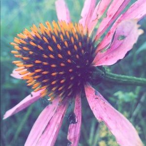 Meet your Posher, Vall